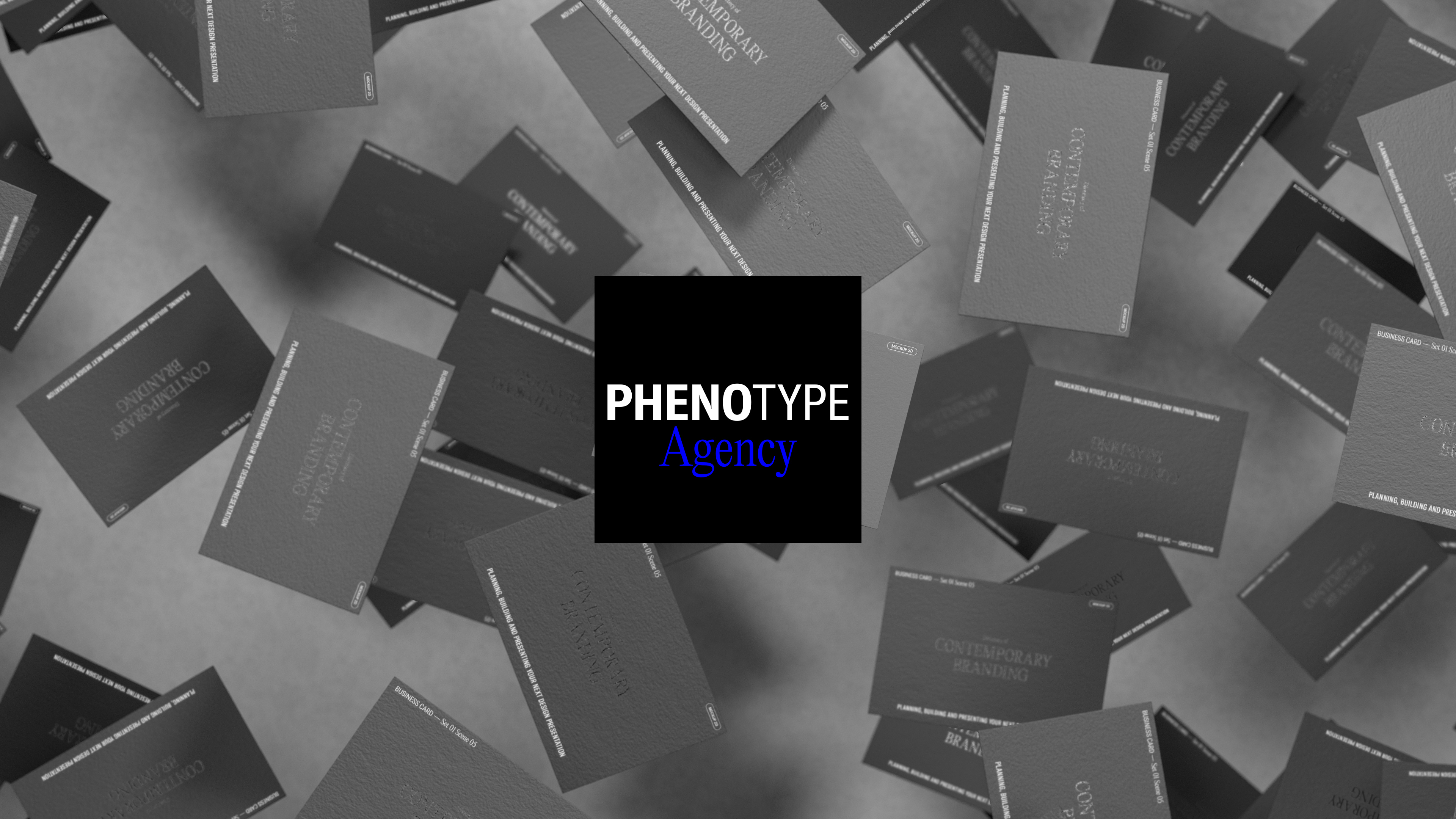 Project: Phenotype <mark>Agency</mark>