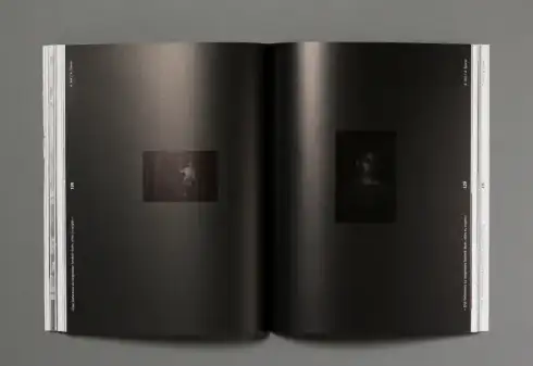Voltaire <mark>Magazin</mark>