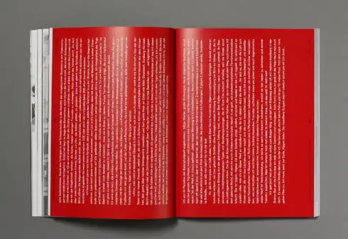 Voltaire <mark>Magazin</mark>