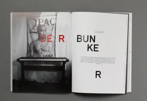 Voltaire <mark>Magazin</mark>